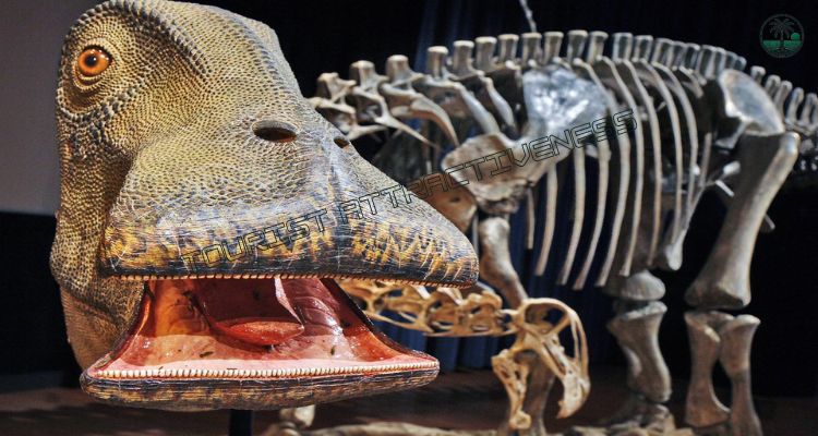 What Dinosaur Has 1000000000000000000 Teeth?