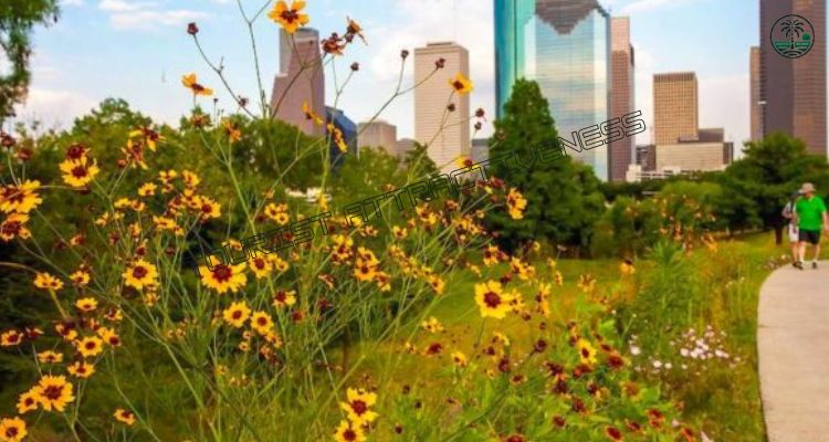 Stroll Along Buffalo Bayou Park