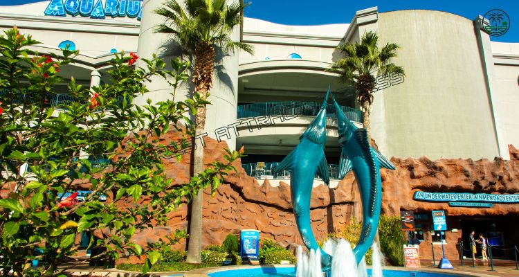 The Downtown Aquarium