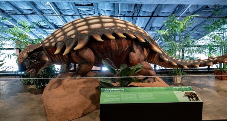 Visit the Houston Museum of Natural Science