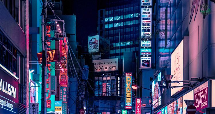 Shinjuku’s Neon Wonderland