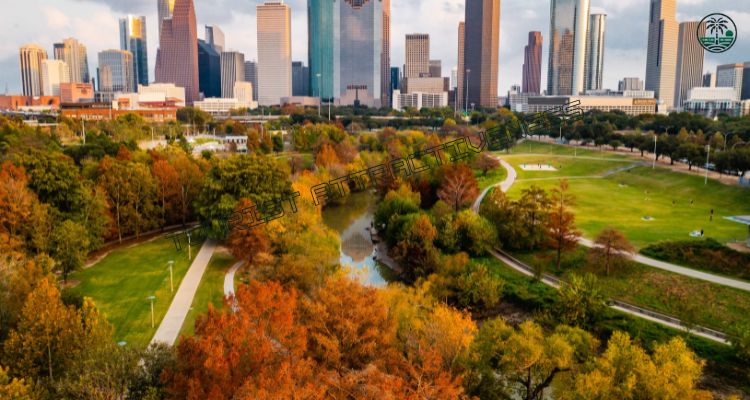 Top 10 Things to Do in Downtown Houston, TX