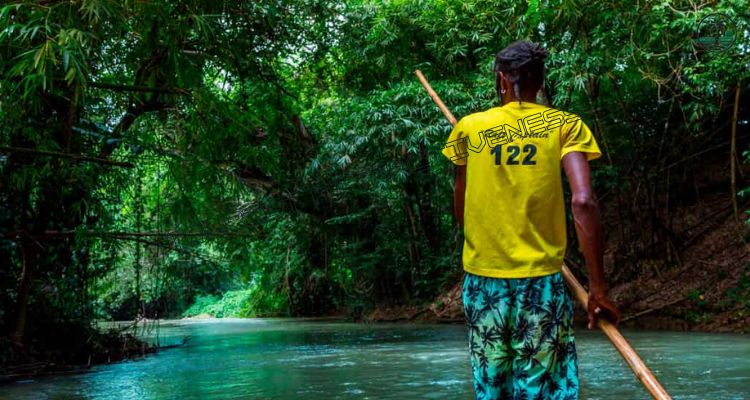 Take a Bamboo Raft Ride on the Martha Brae River
