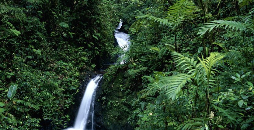 Best Time to Travel to Costa Rica