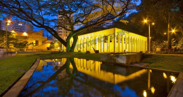 Discover Cali’s Salsa Culture at Parque del Perro