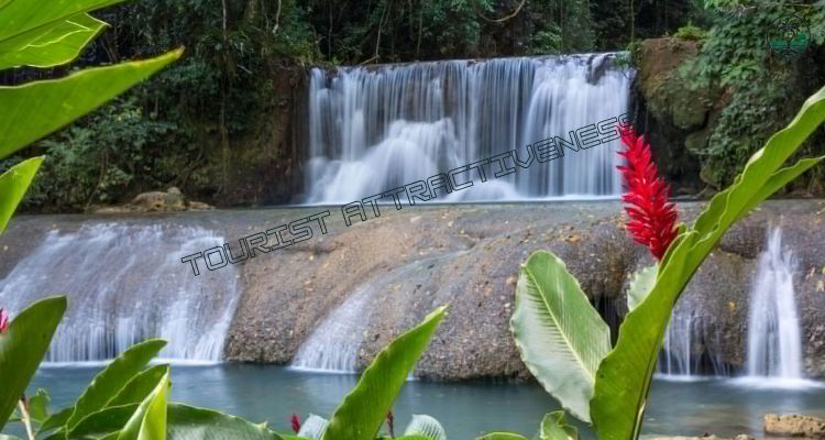 Climb the Iconic Dunn’s River Falls