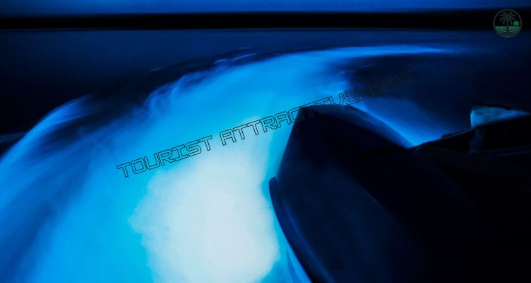 Experience the Luminous Lagoon