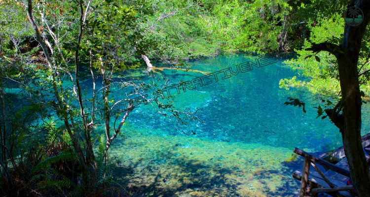 Explore Indigenous Eyes Ecological Park