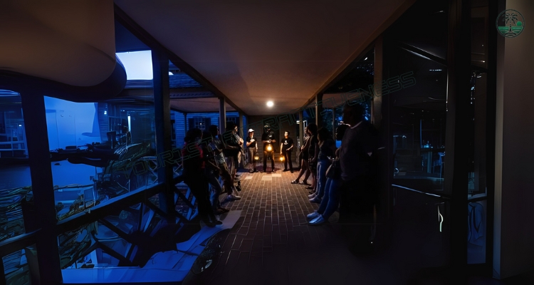 Get Spooked at Spook Hill