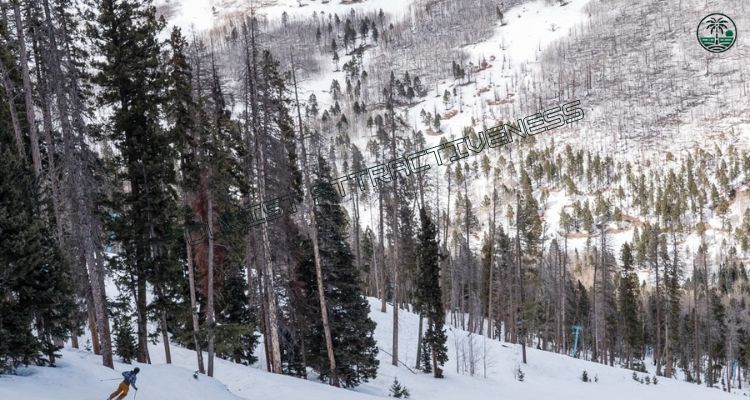 Hit the Slopes or Trails at Snowbowl