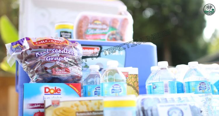 How to Keep Your Food Fresh and Safe While Traveling