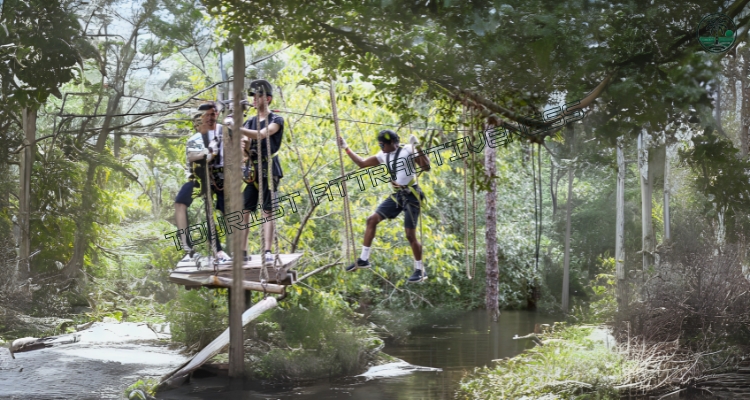 Experience the Orlando Tree Trek Adventure Park