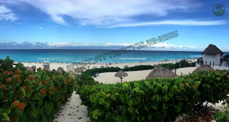 Relax at Playa Delfines