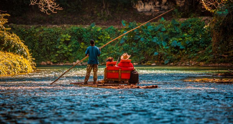 Take a Safari on the Black River