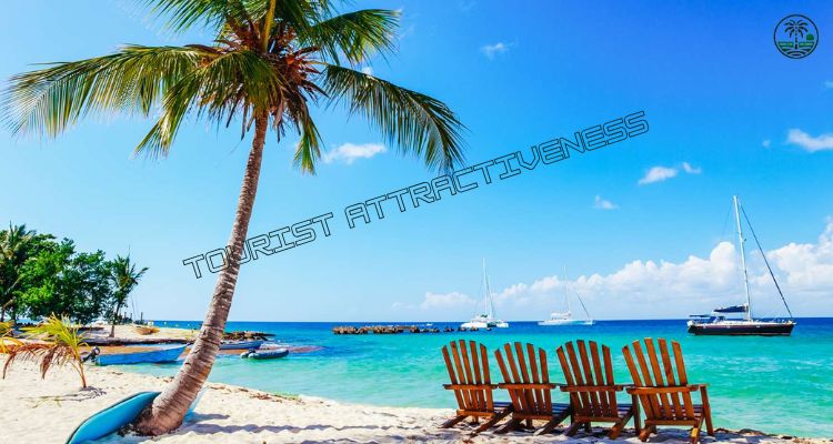 Take a Family Catamaran Cruise