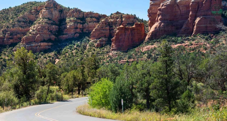 Take a Scenic Drive