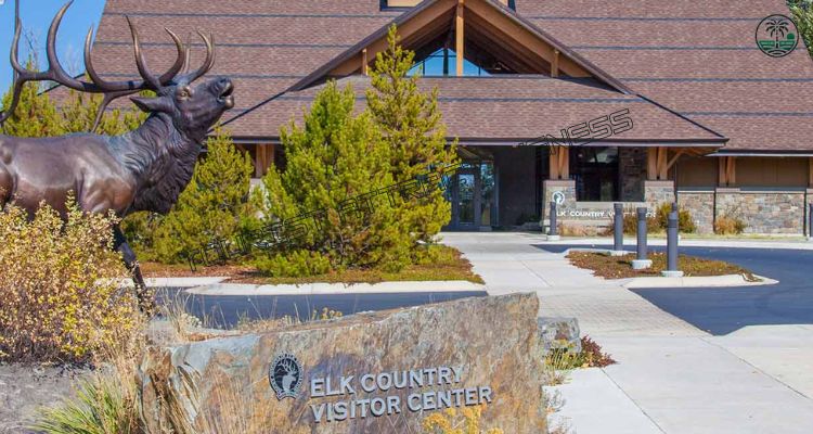 Visit the Rocky Mountain Elk Foundation